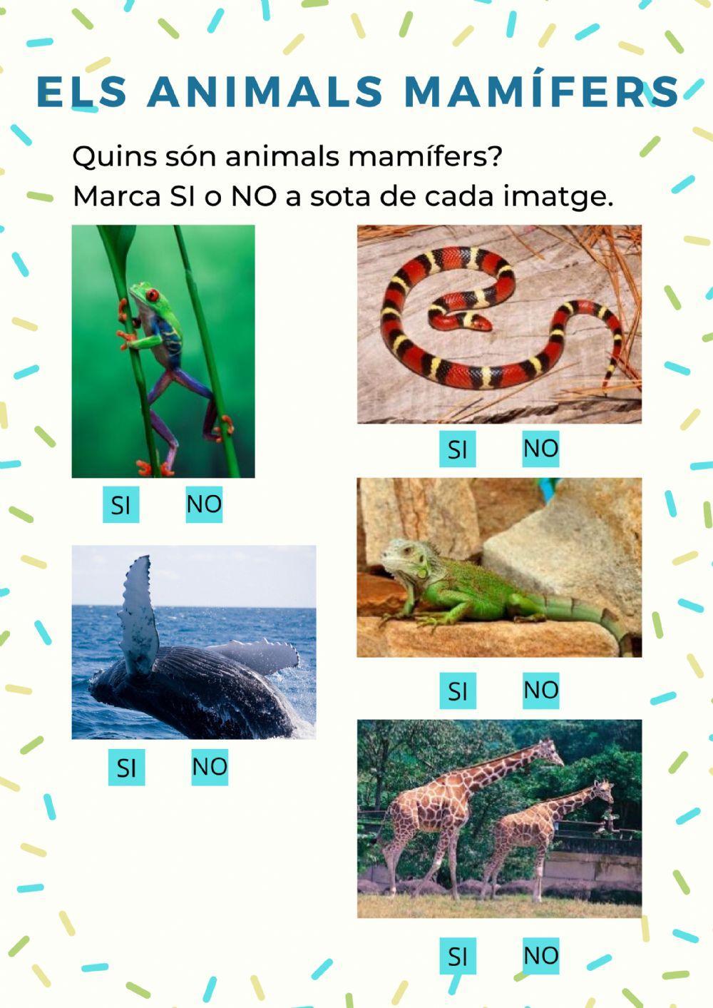 Els Animals Mamífers