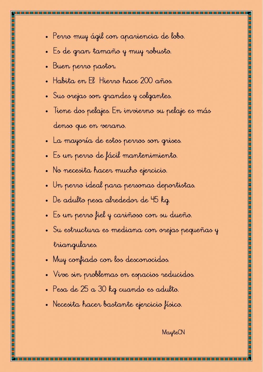 Perro lobo herreño (Canarias)