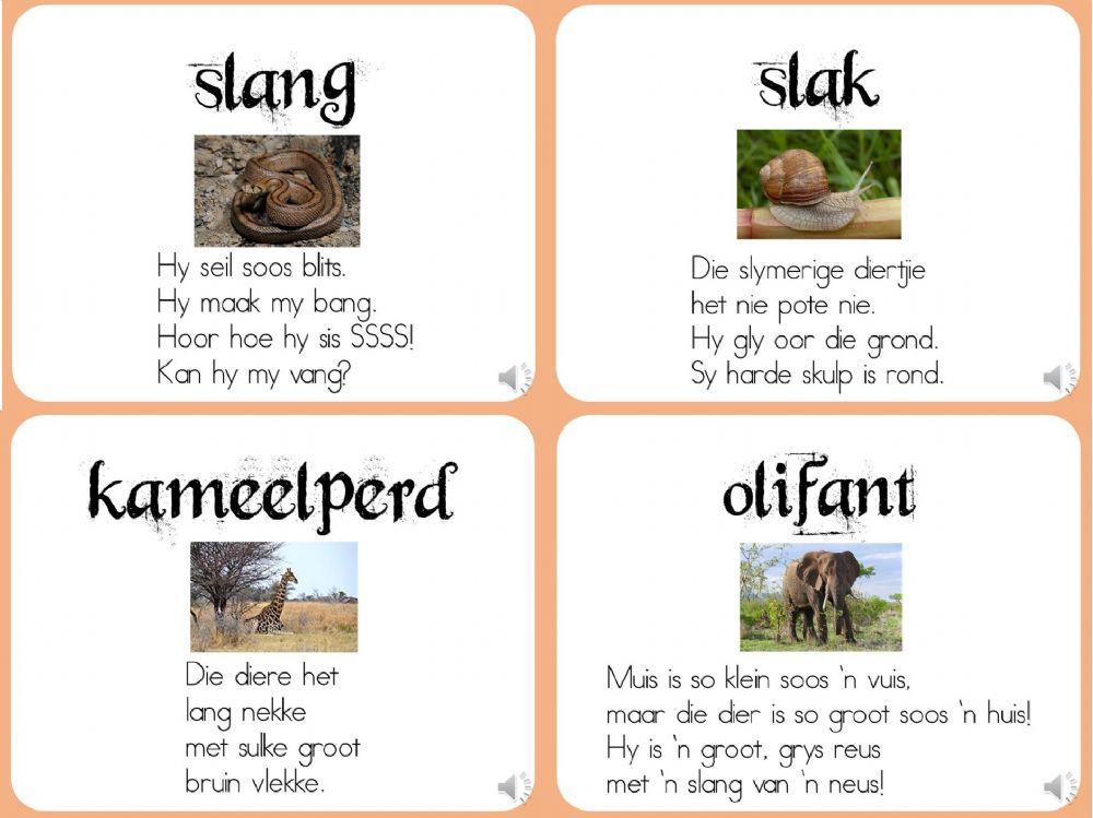 Afrikaans Rhyme