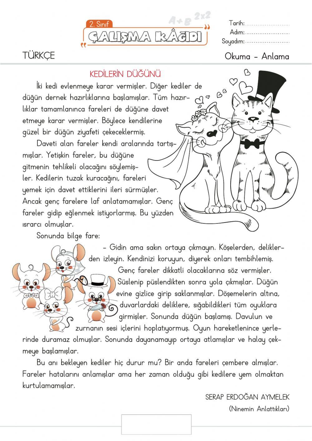 2.Sınıf Türkçe-Okuma-anlama