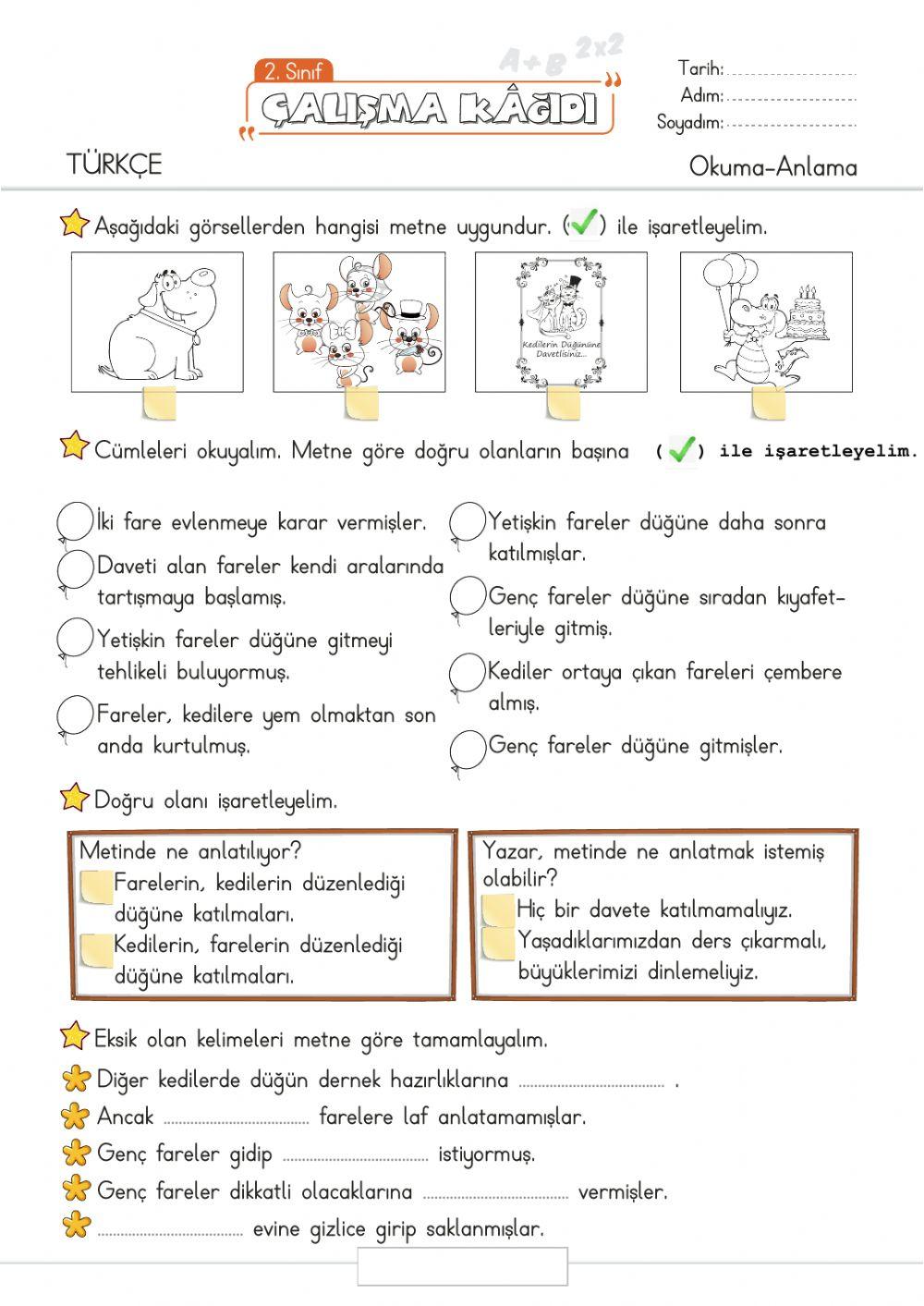 2.Sınıf Türkçe-Okuma-anlama