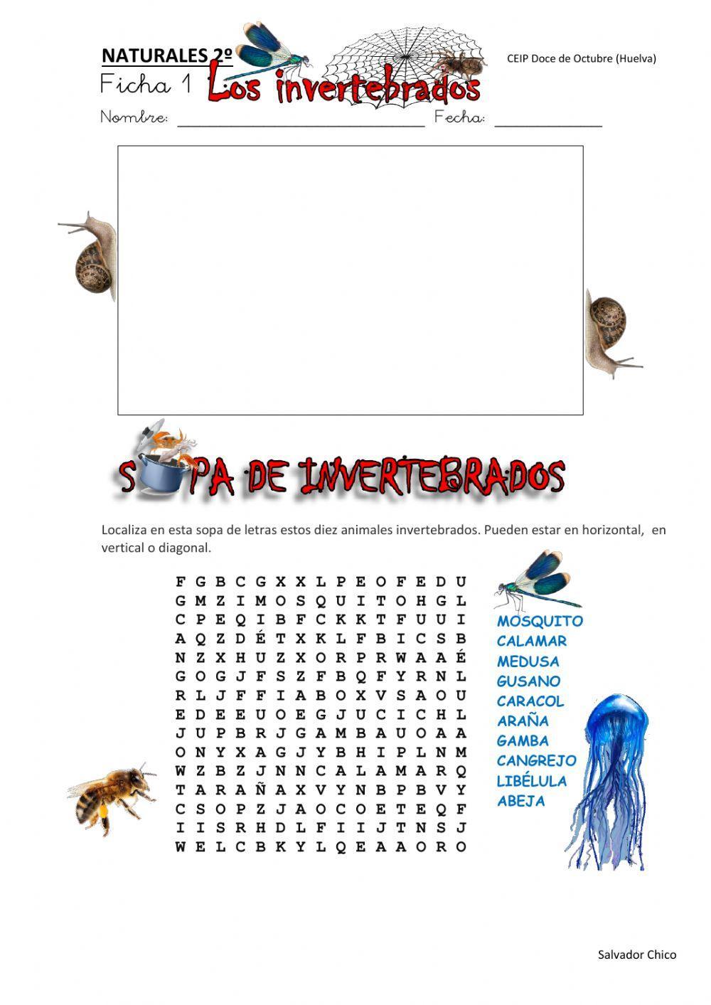 Animales invertebrados 1