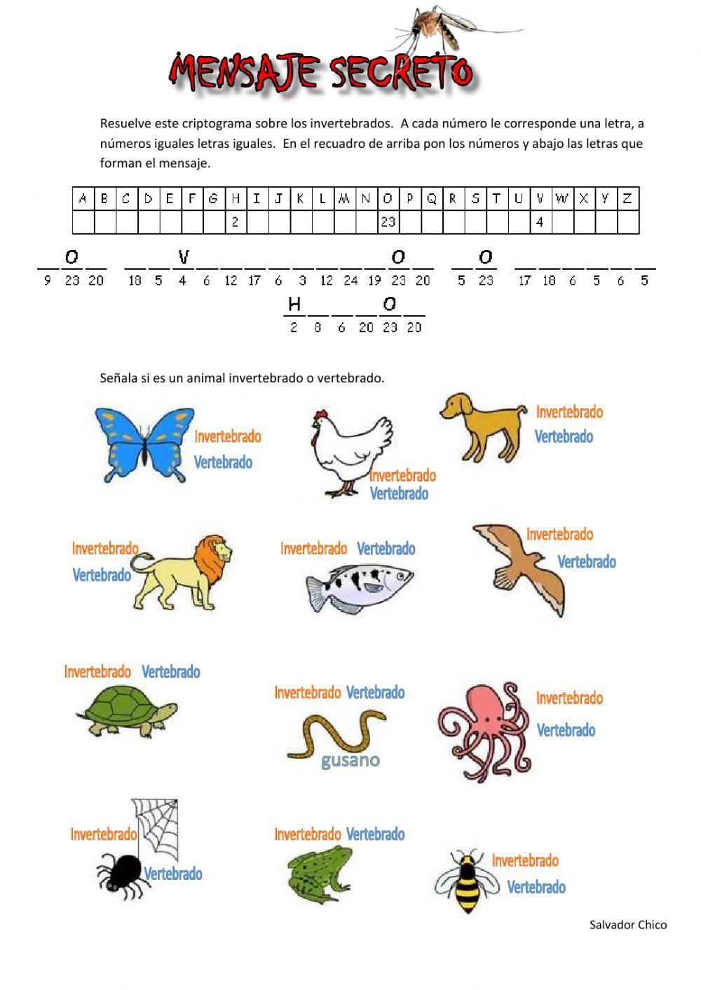 Animales invertebrados 1