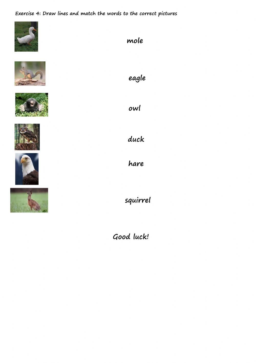 Revision test unit 5