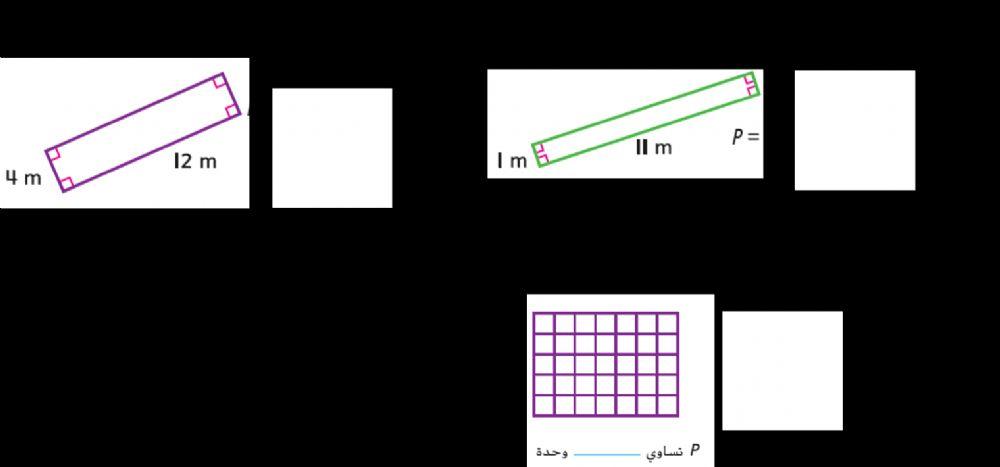 محيط المستطيل