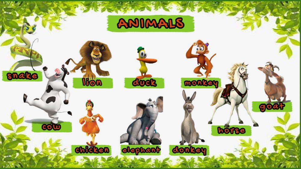 Animals