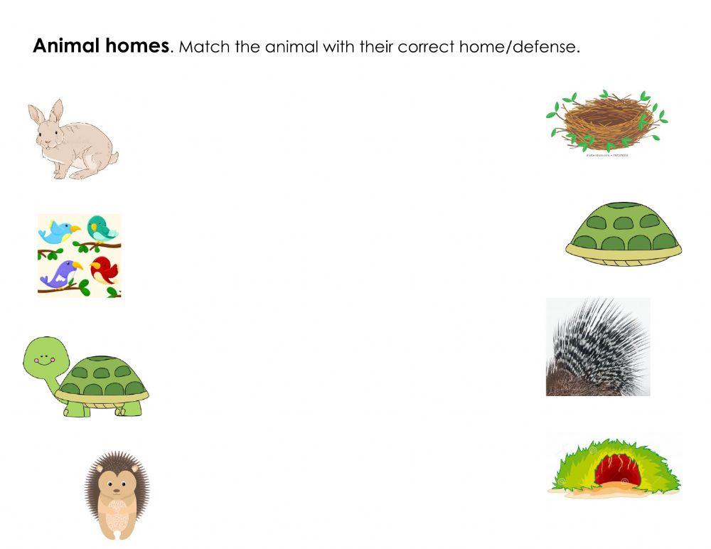 Animals Homes