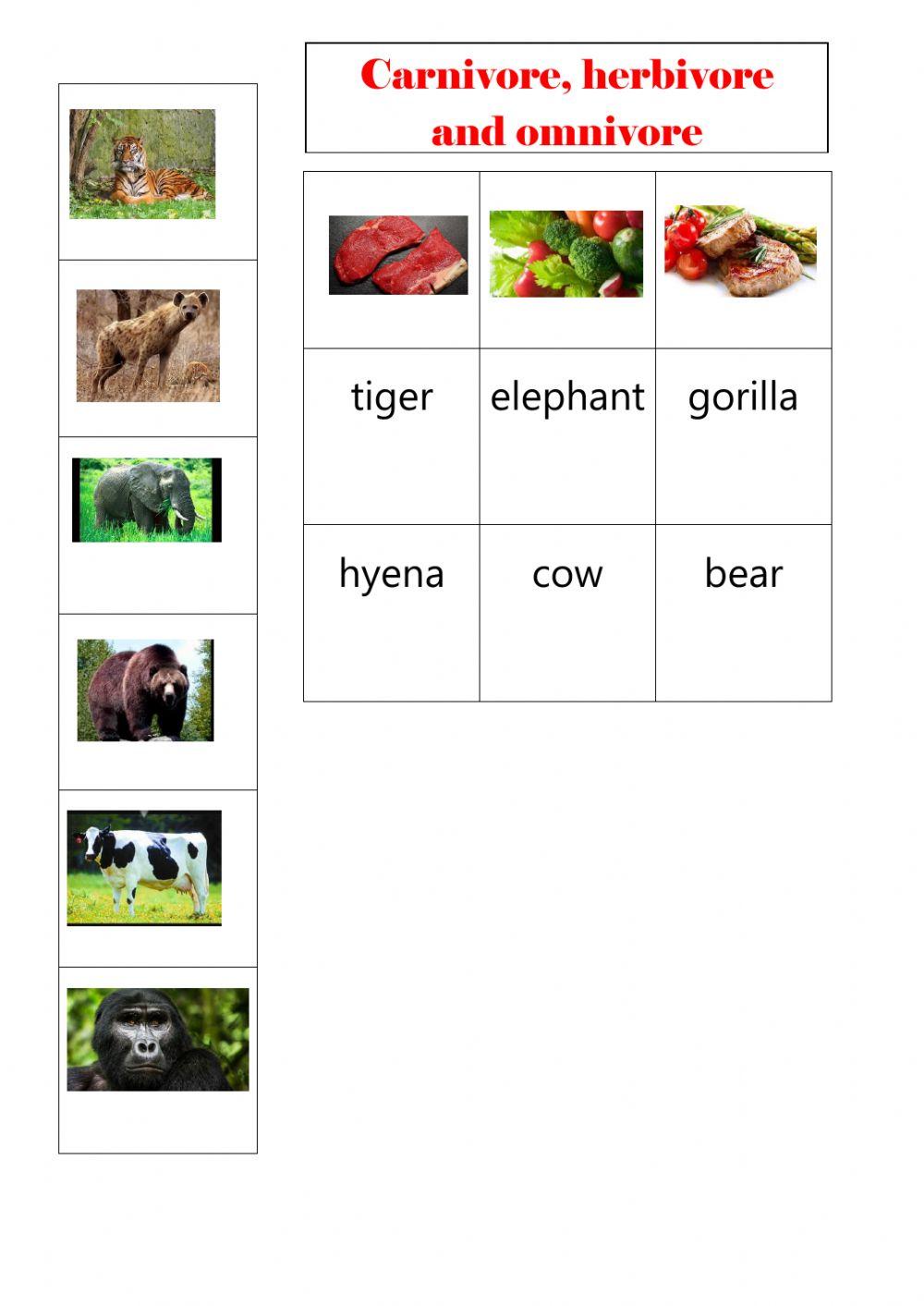 Carnivore, herbivore and omnivore