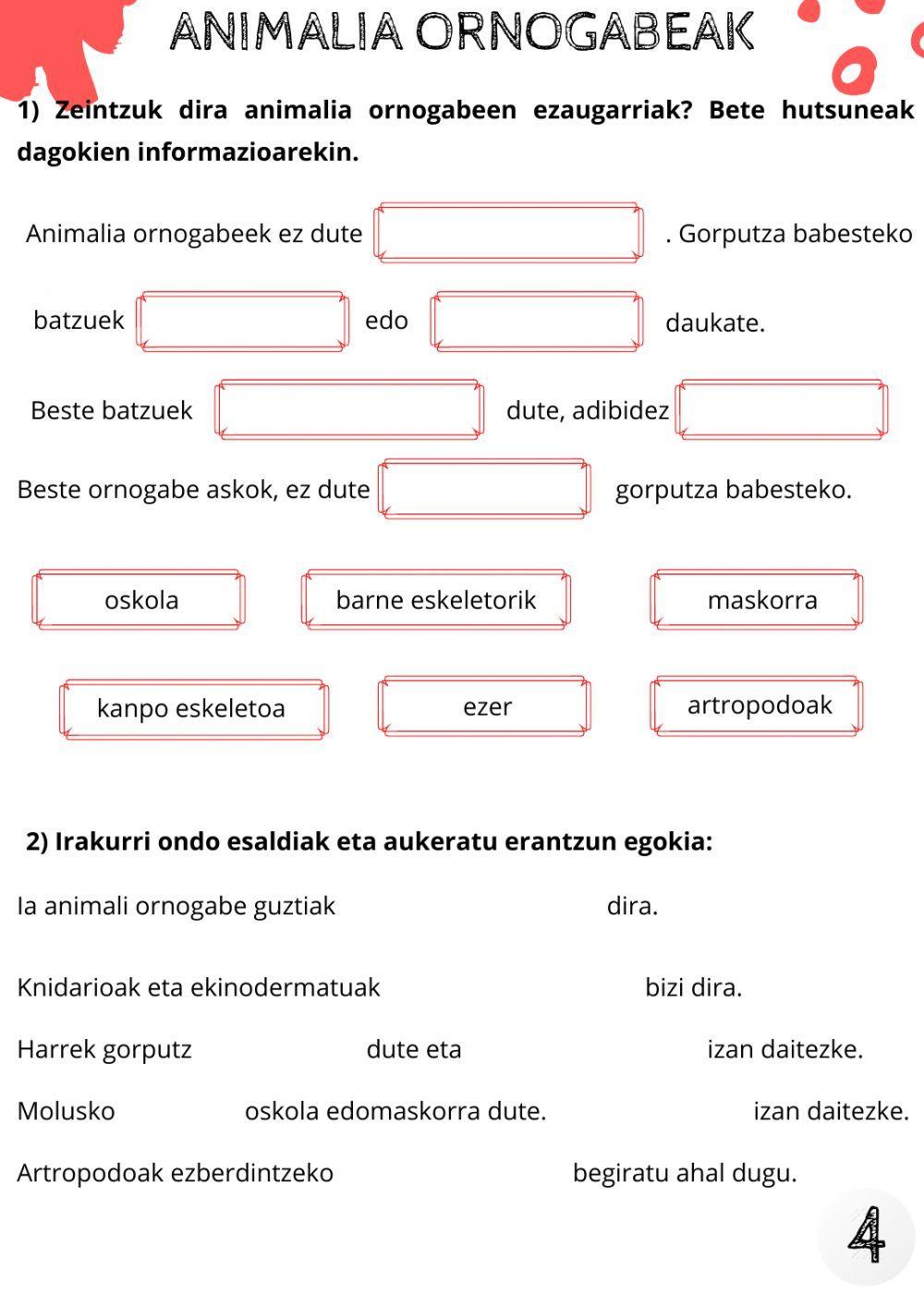 Animalien sailkapena 4