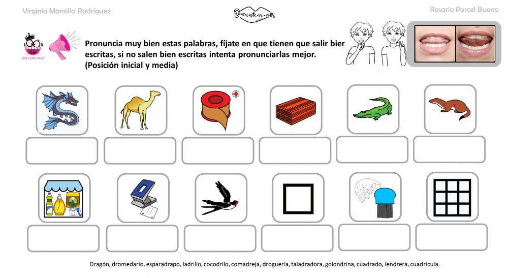 Articulacion DR media y final