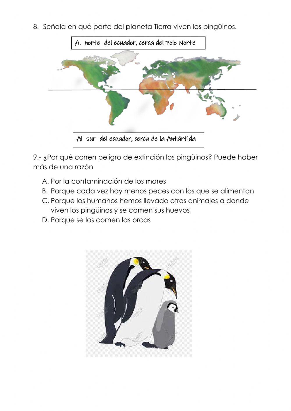 Pingo, el pingüino