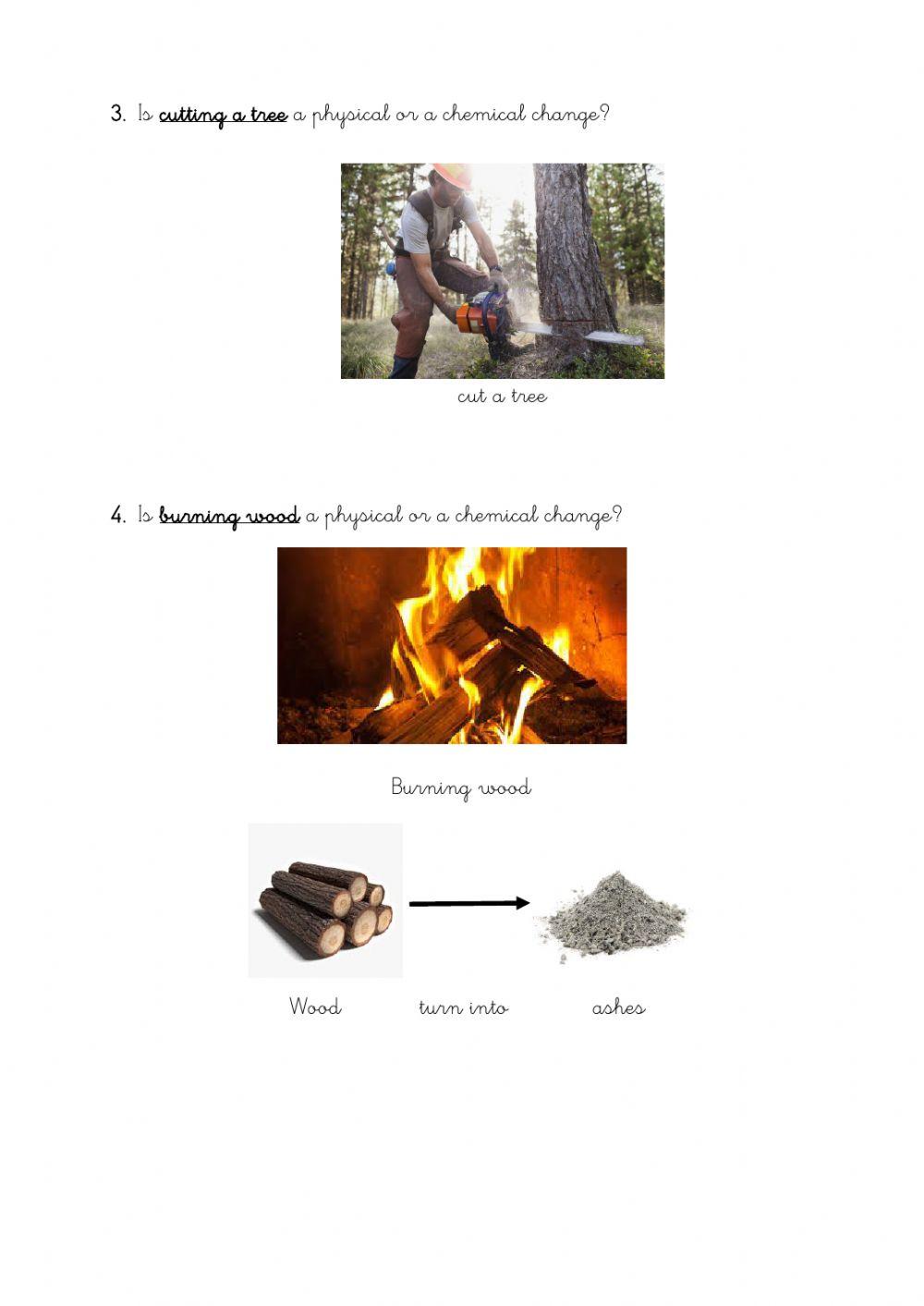 Physical and chemical changes
