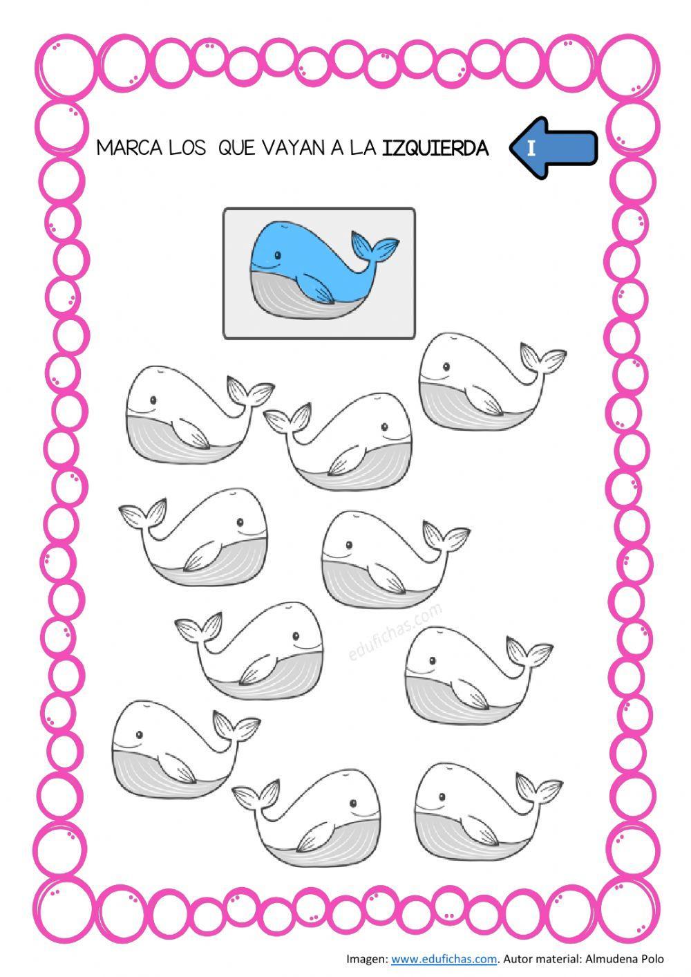 Lateralidad-izquierda-4