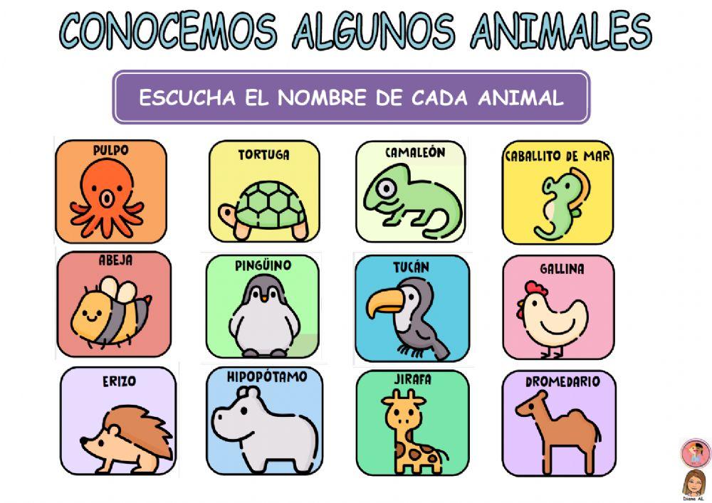 Los animales