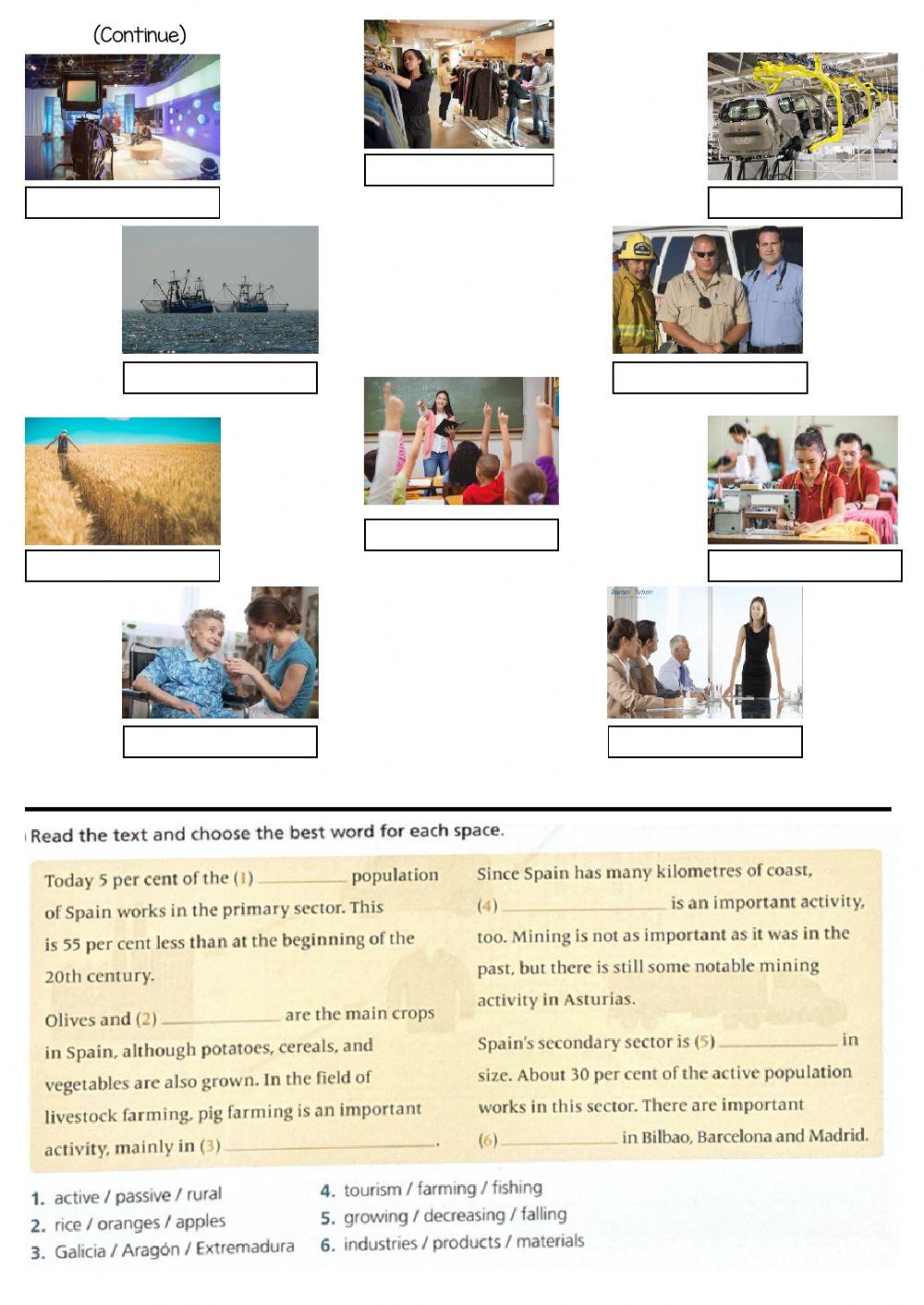 Economy Sectors. REDEMPTION Practice paper 1.