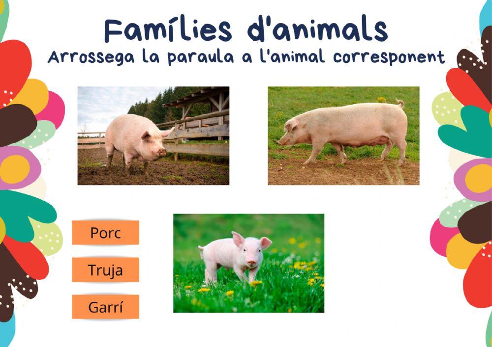 Famílies d'animals