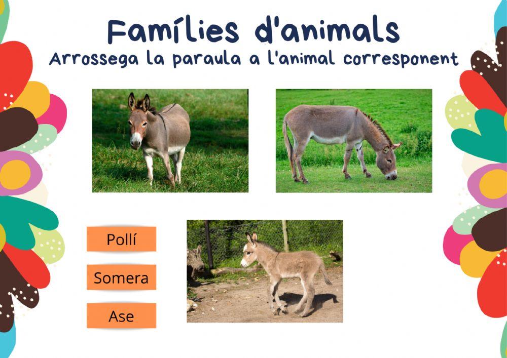 Famílies d'animals