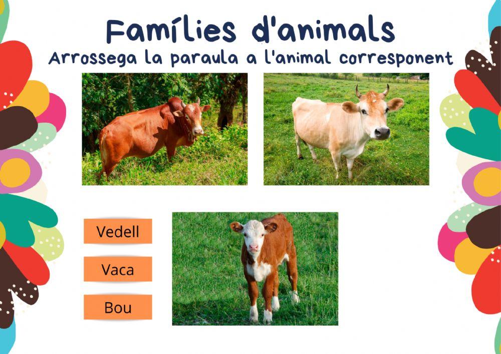 Famílies d'animals