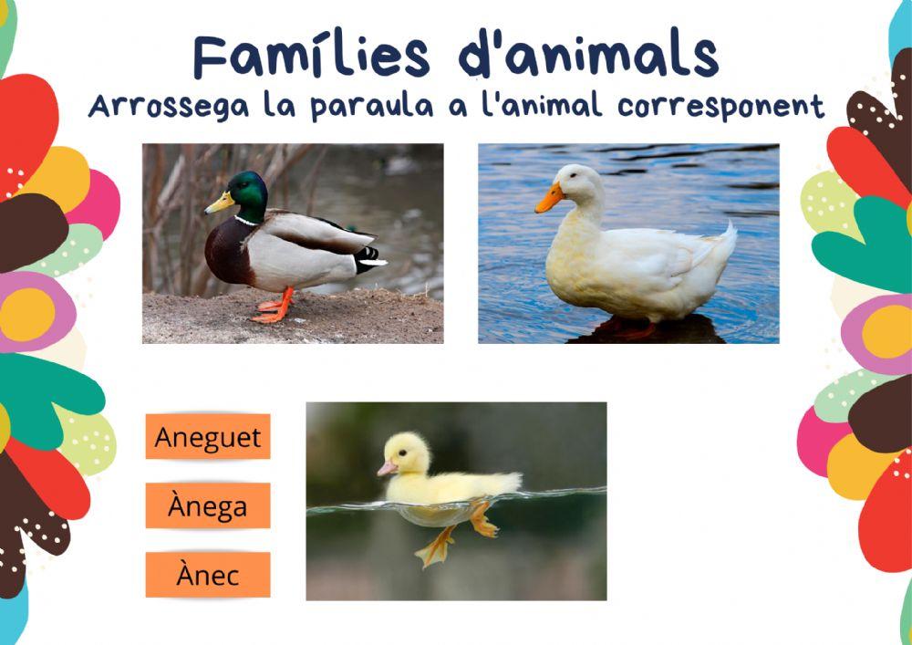 Famílies d'animals