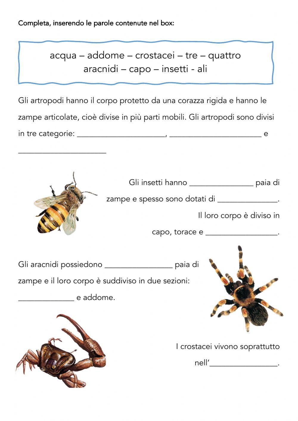 Gli invertebrati