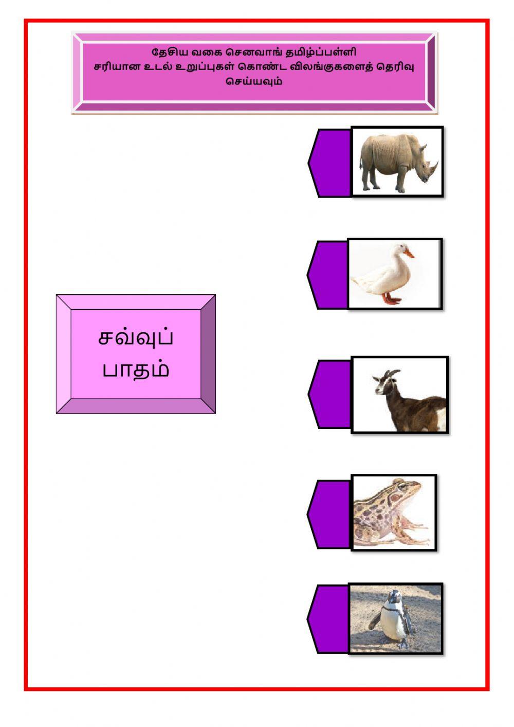 சவ்வுப்பாதம் கொண்ட  விலங்குகள்