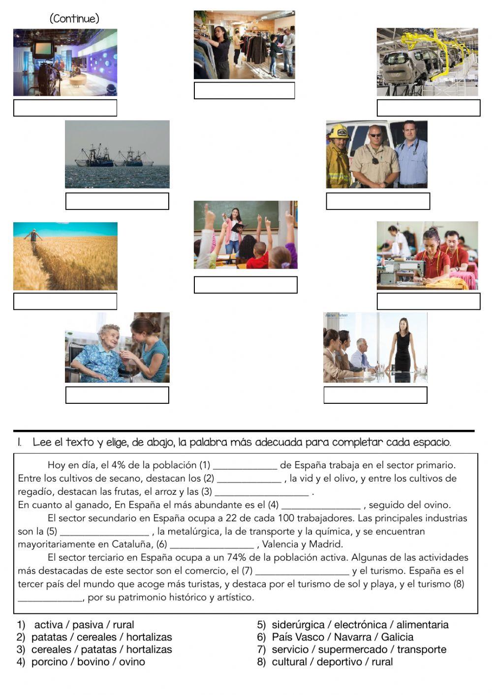 Sectores Económicos. RECUPERACIÓN Practice paper 1.