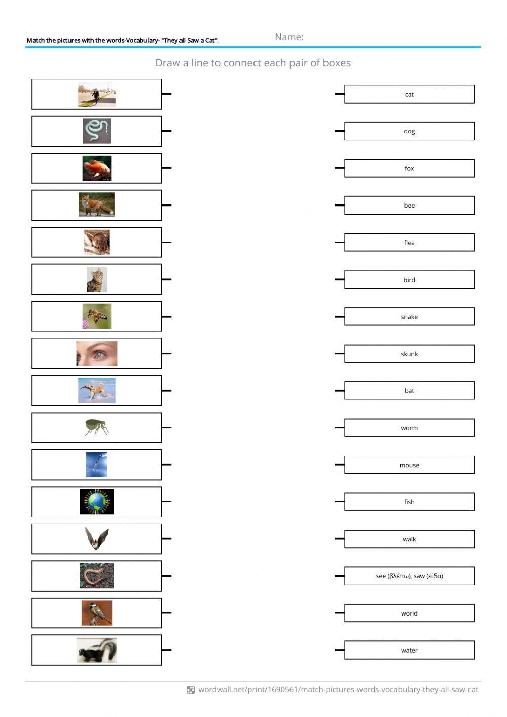 Vocabulary worksheet