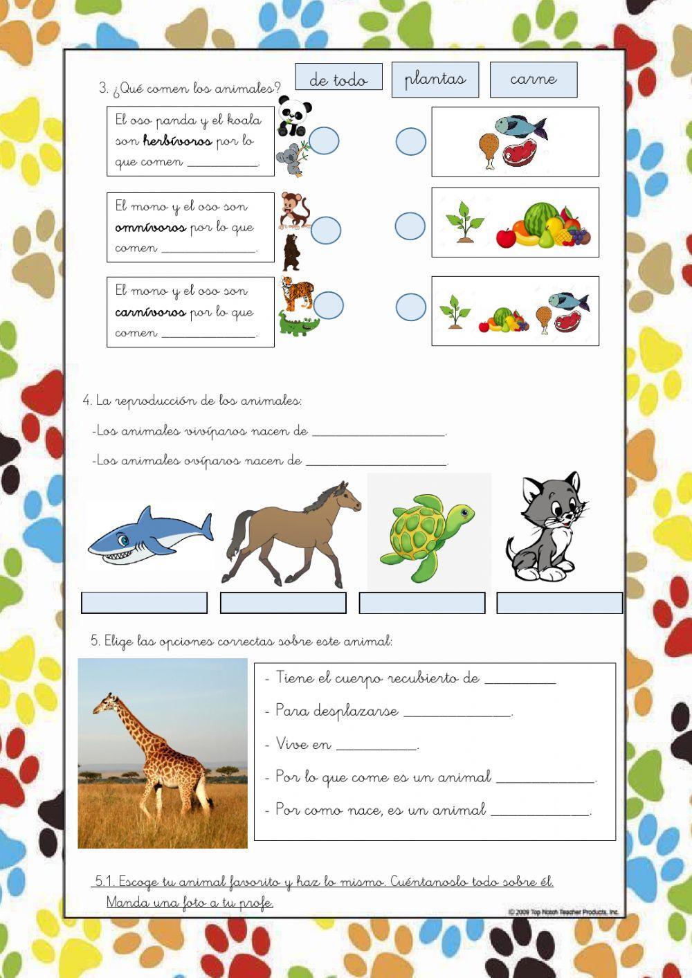 Repaso ciencias animales