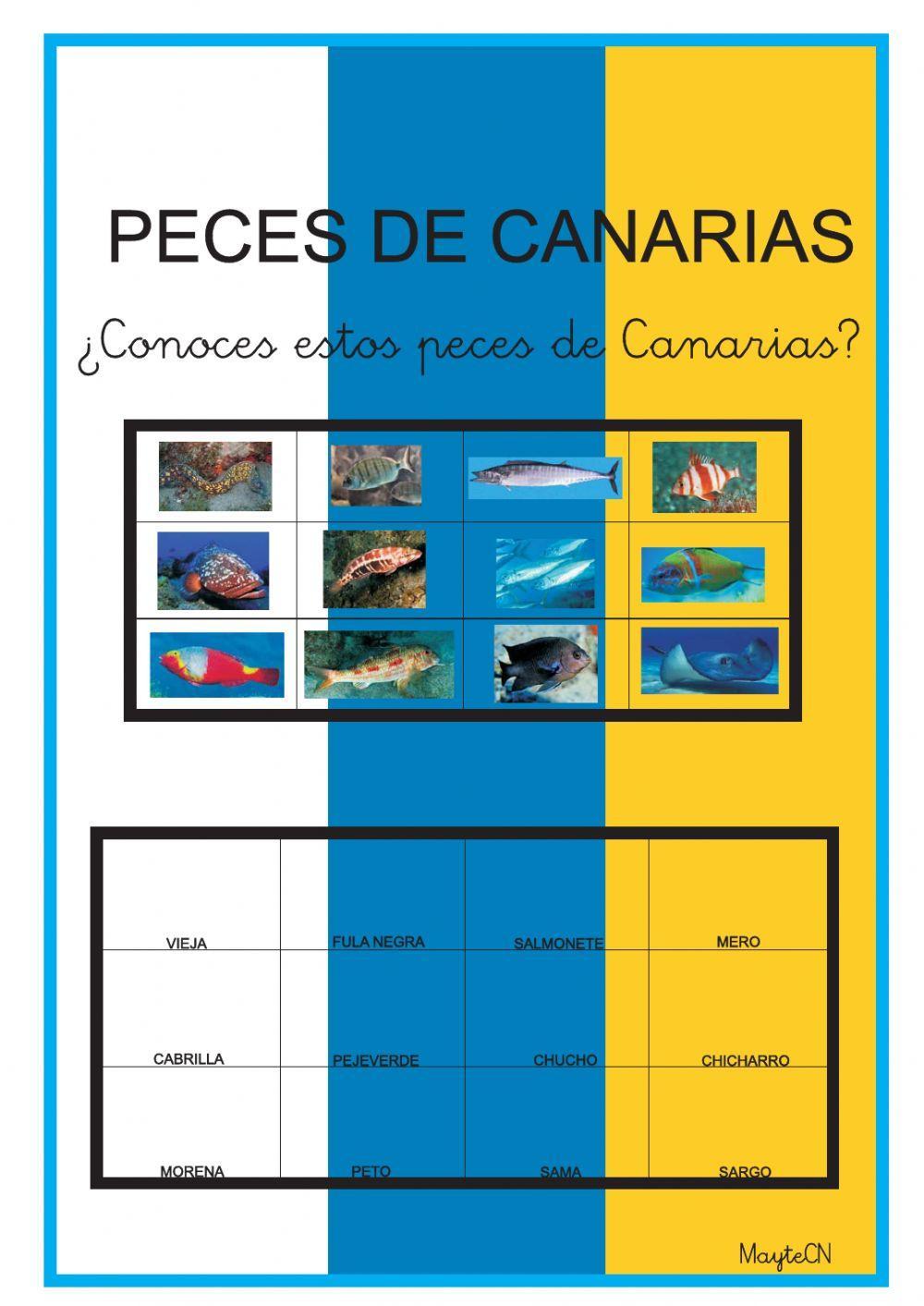 Peces de Canarias