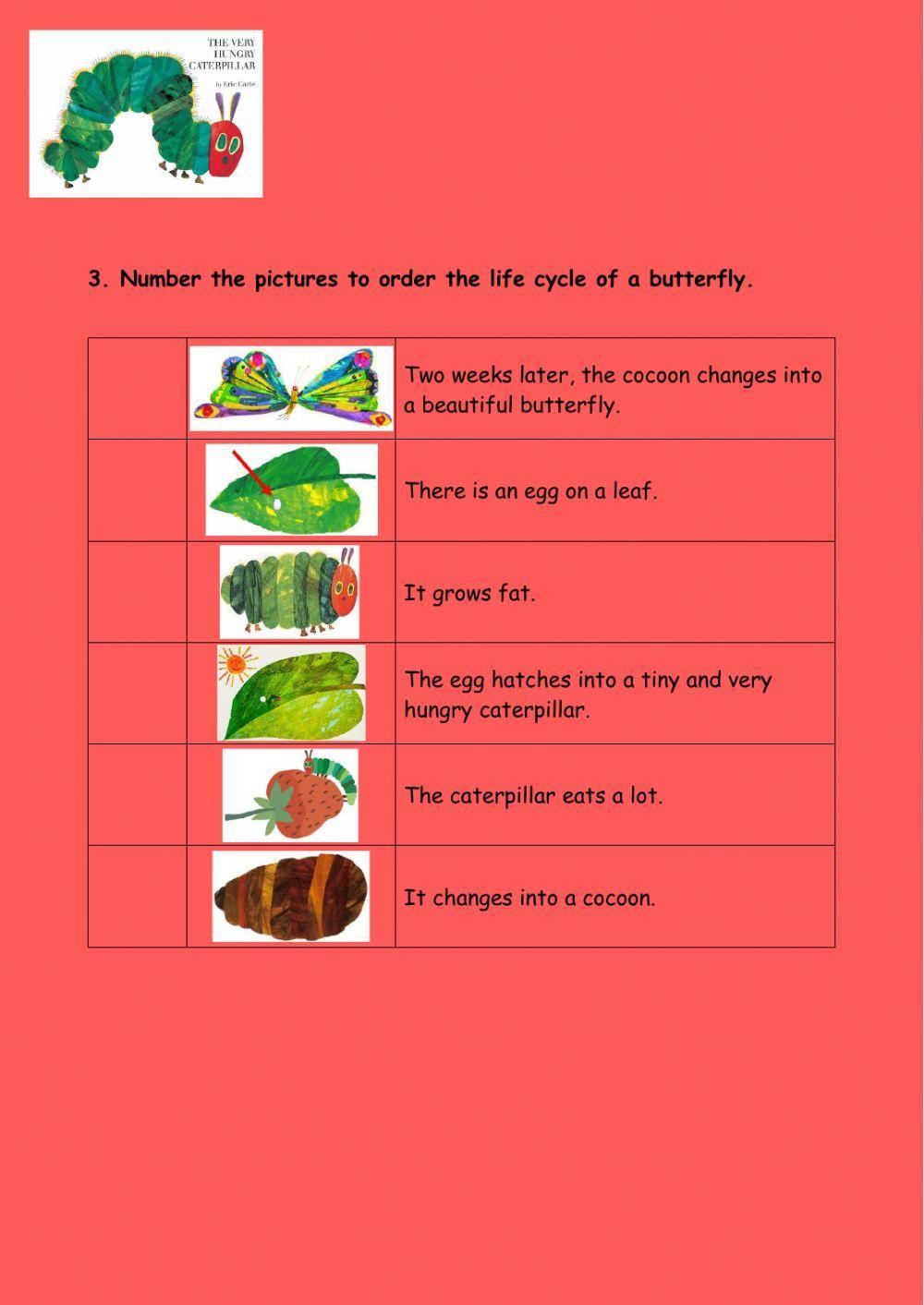 The very hungry caterpillar