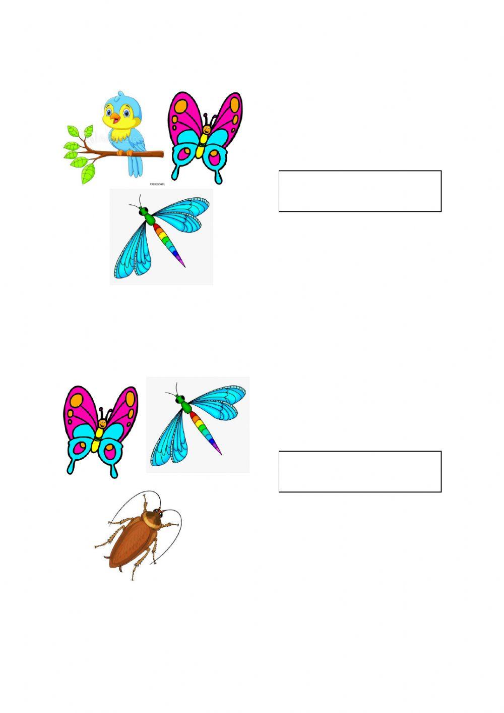 Persamaan tubuh badan haiwan