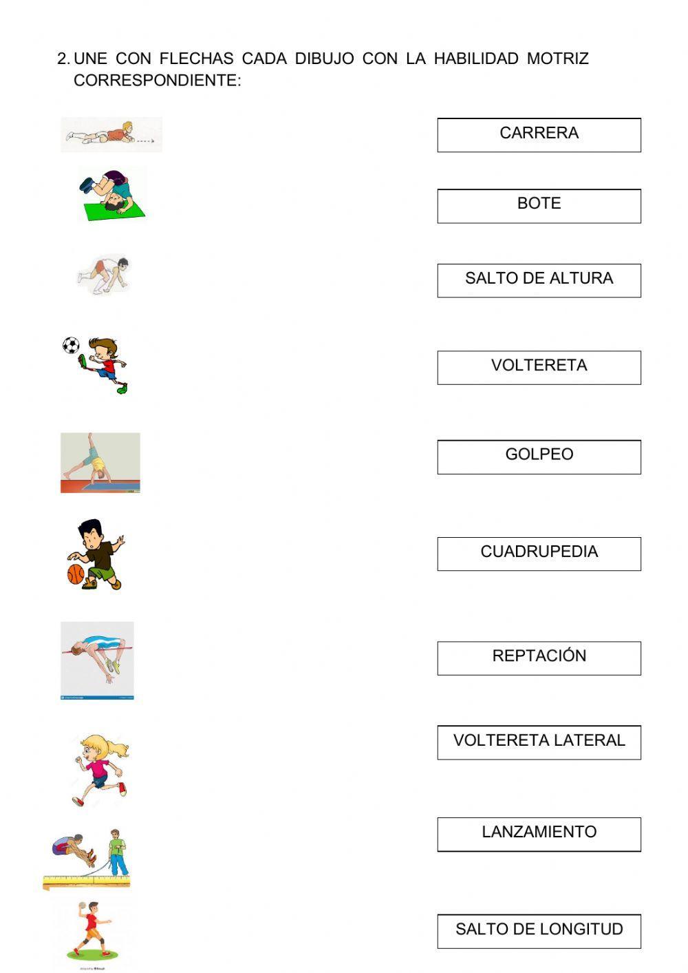 Habilidades motrices básicas.
