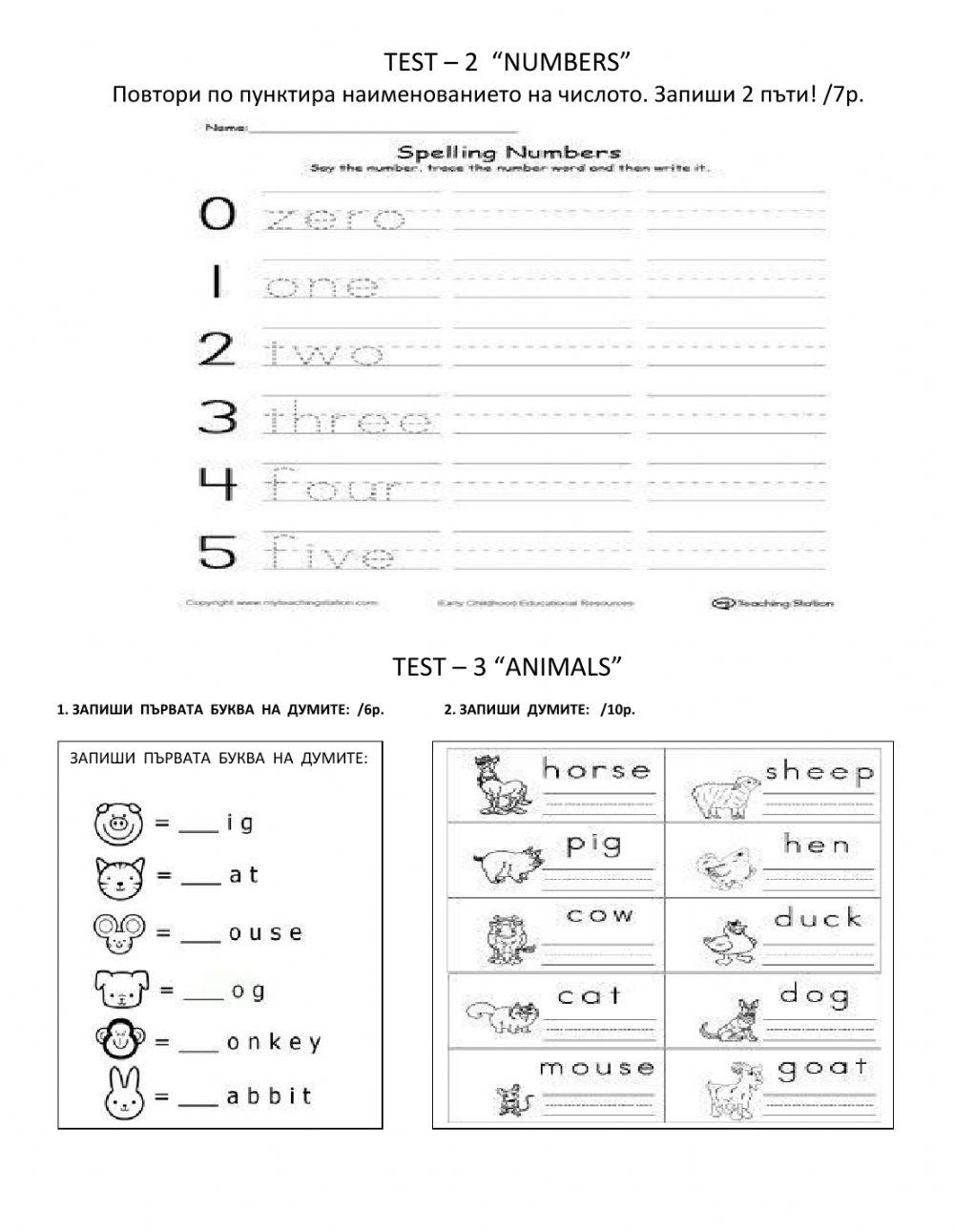 Merry-go-round-final test - grade 1