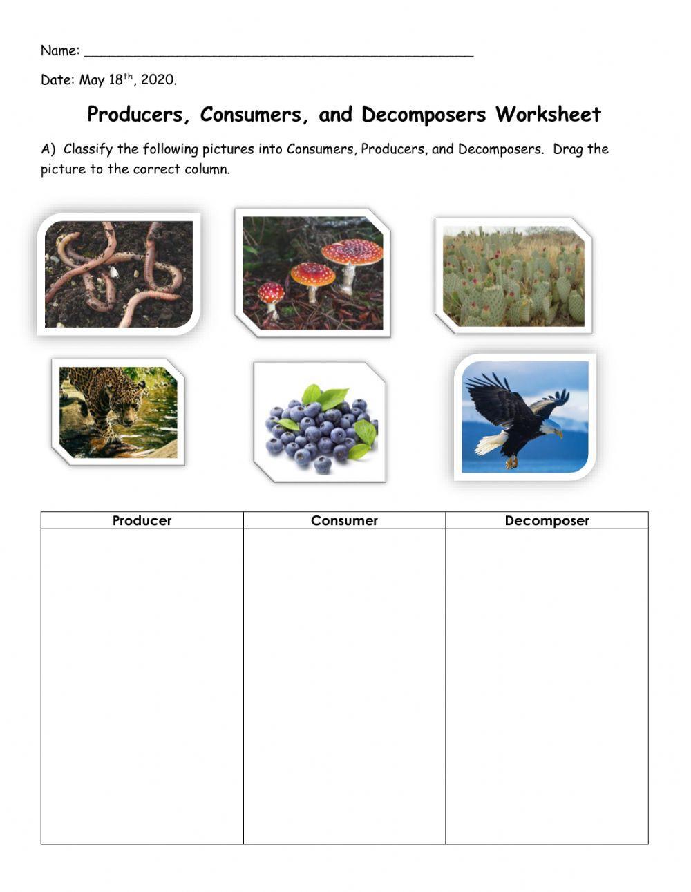 Consumers, Producers, Decomposers interactive worksheet | Live Worksheets Consumers, Producers, Decomposers interactive worksheet | Live Worksheets