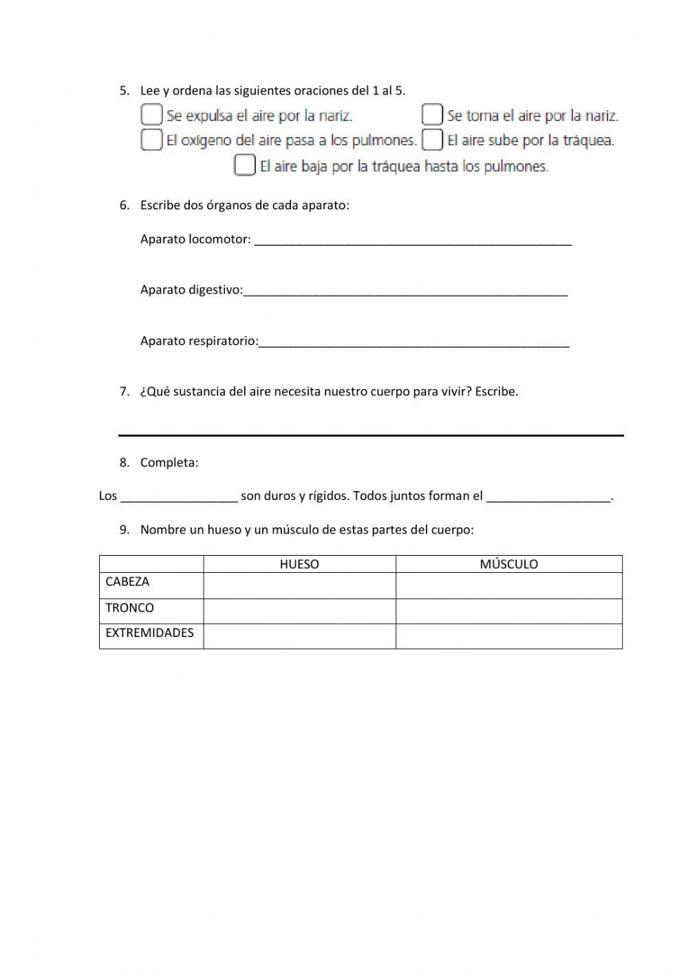 Repasamos el cuerpo humano