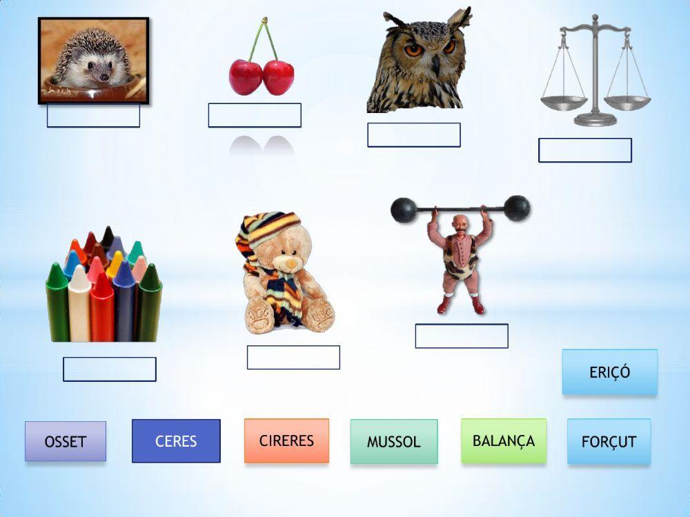 Vocabulario valenciano miercoles 20 mayo