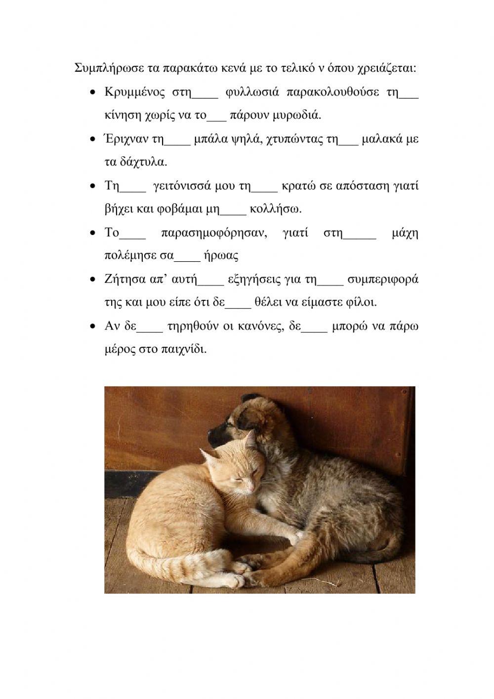 Το τελικό ν