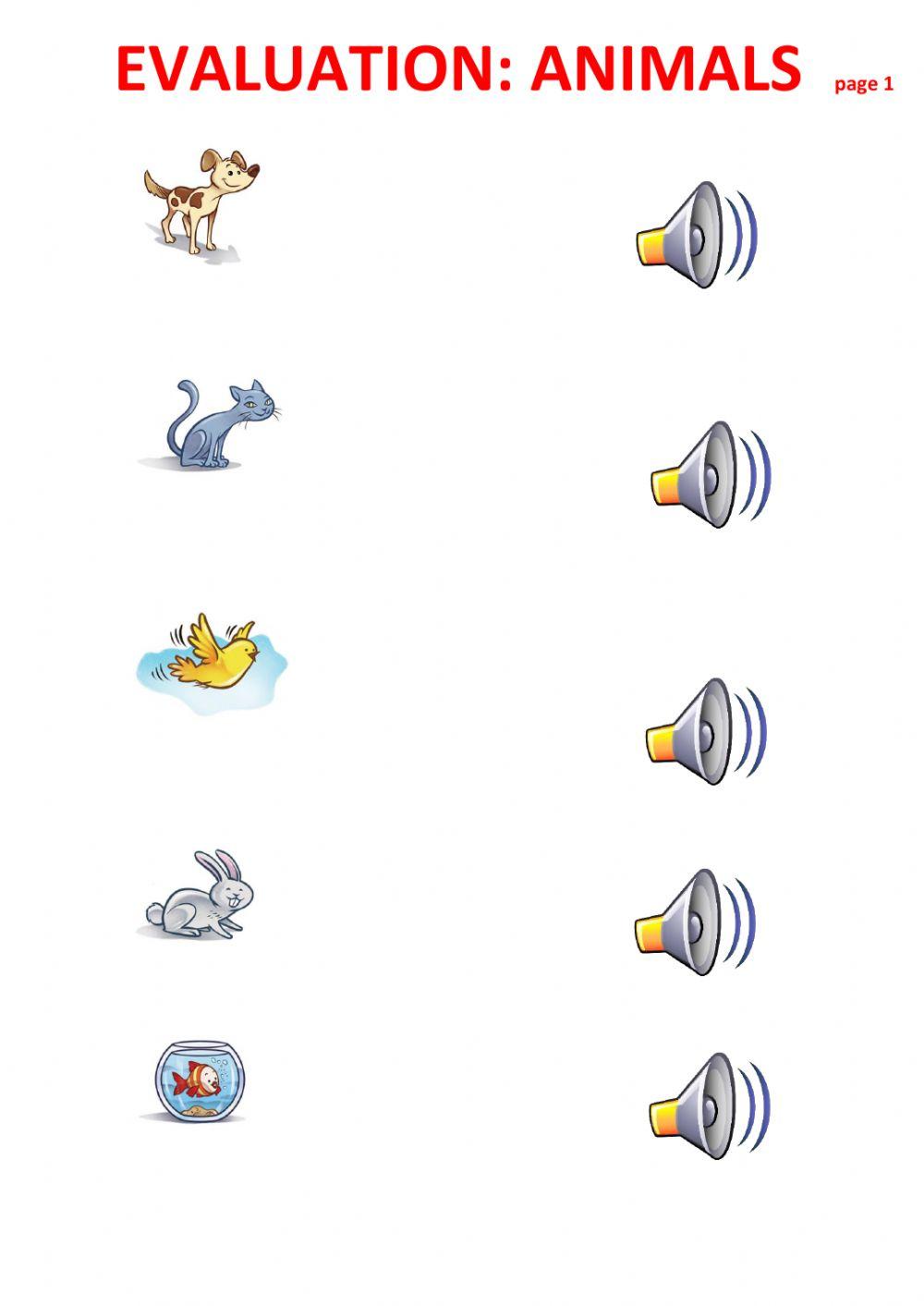 ANIMALS EVALUATION( 3 AÑOS)