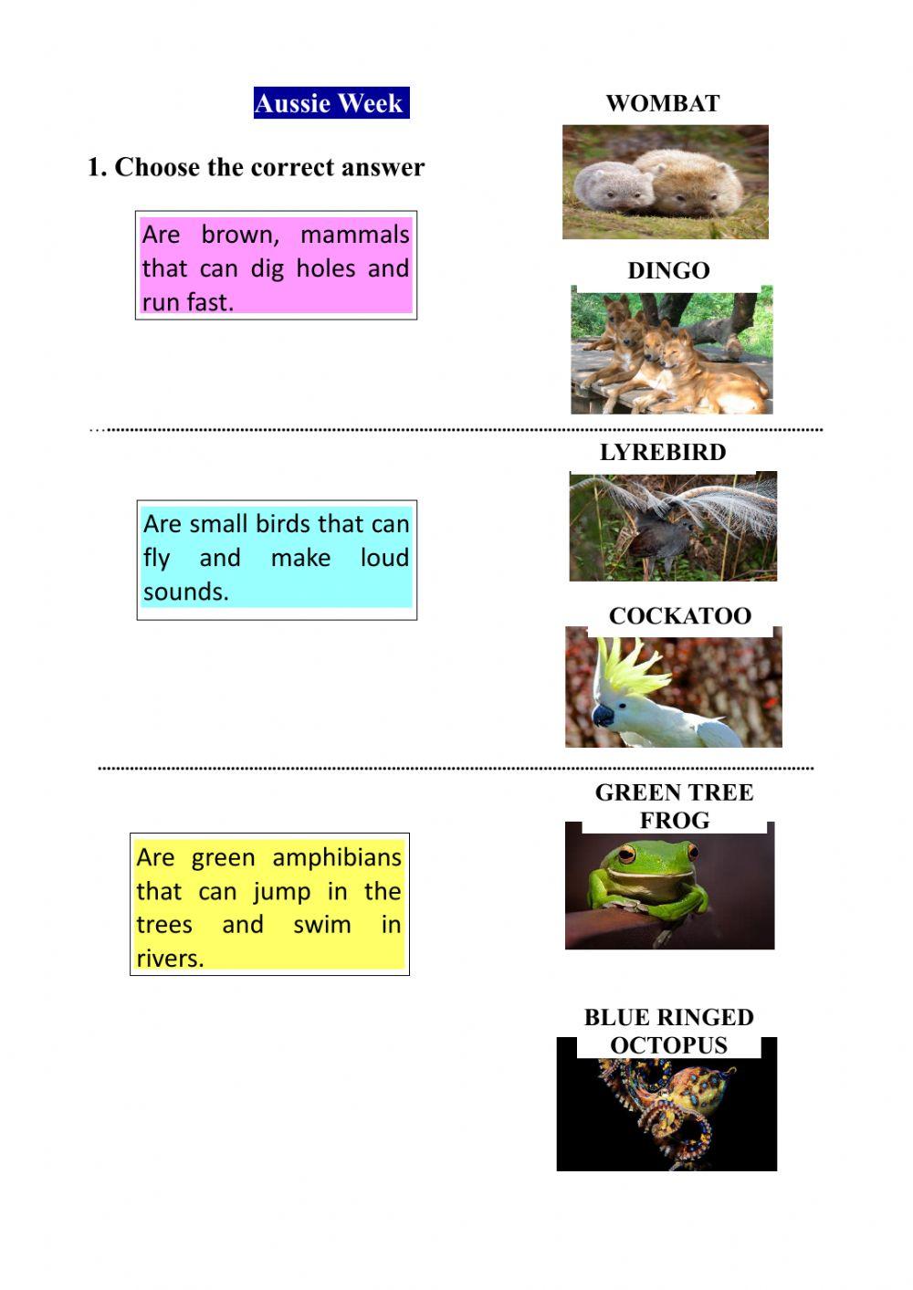 Description aussie animals