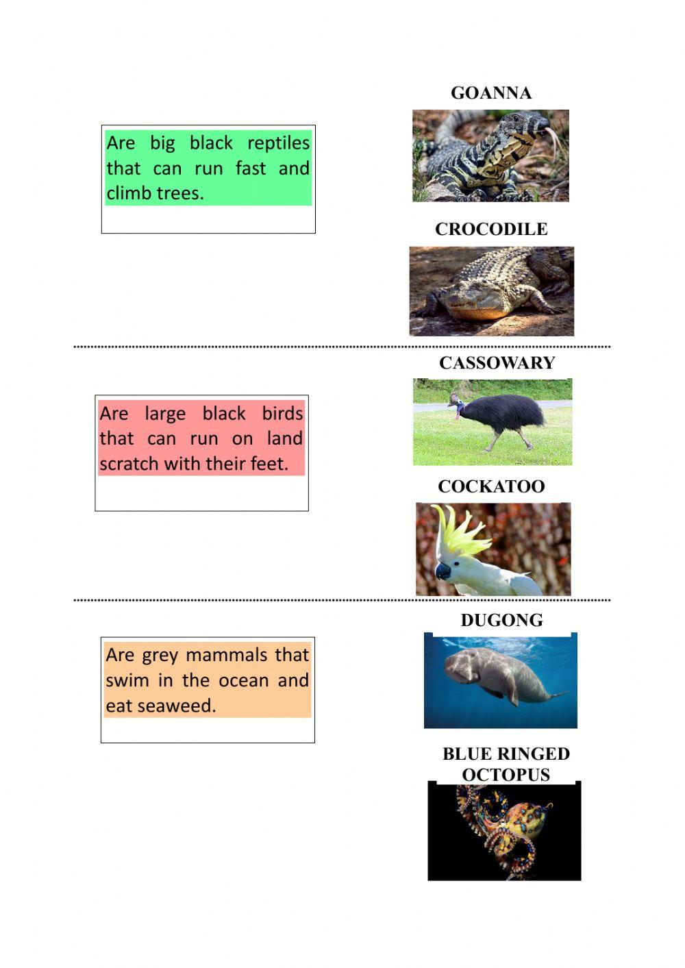 Description aussie animals