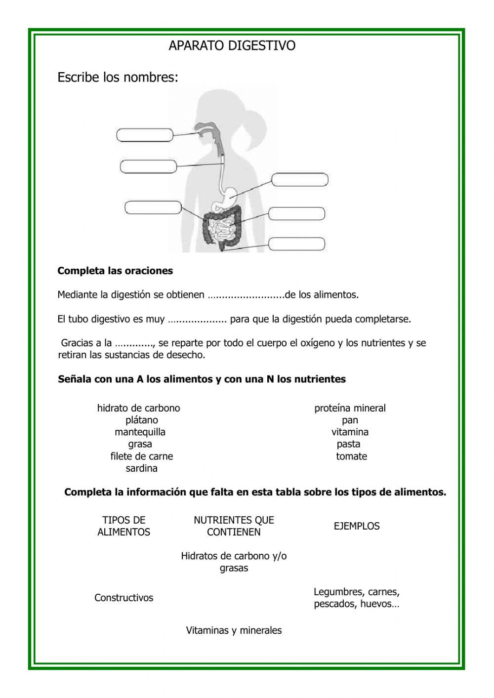 Funciones vitales Funciones vitales