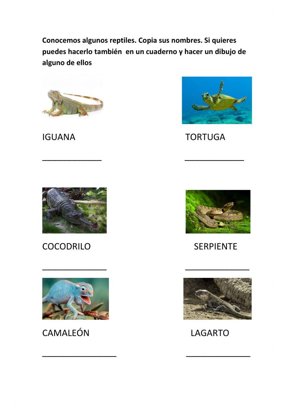 Los reptiles