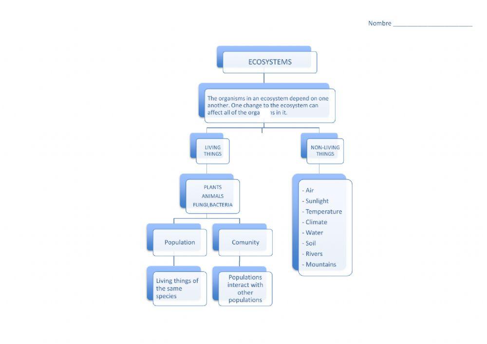 Unit 3 Ecosystems Scheme