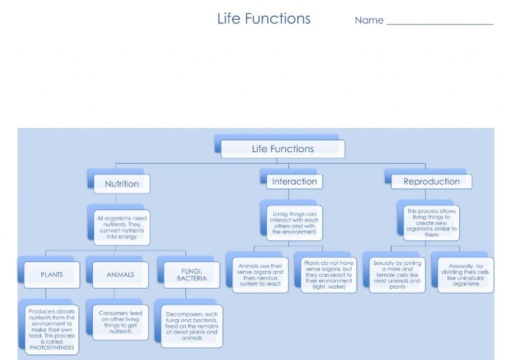 Unit 3 Life Functions Scheme