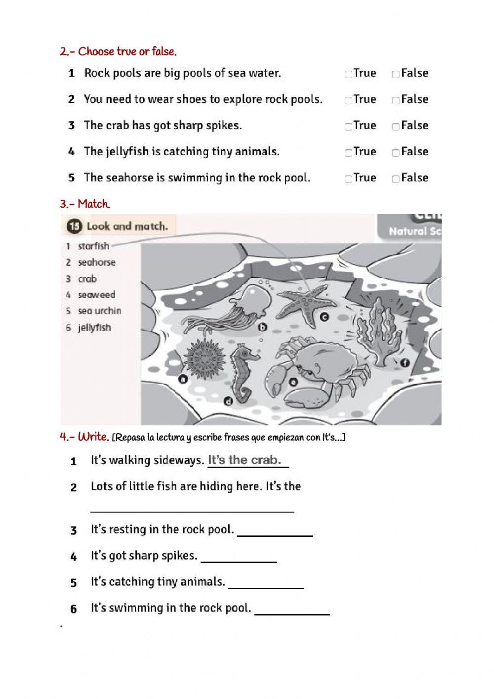 Tiger 3 Unit 6 Cross curricular