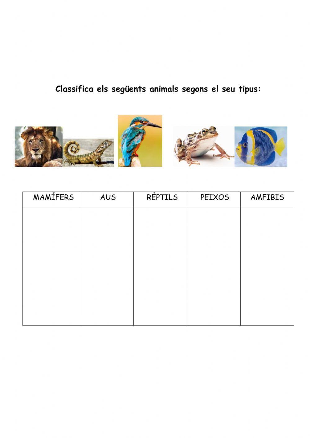 Vertebrats i invertebrats