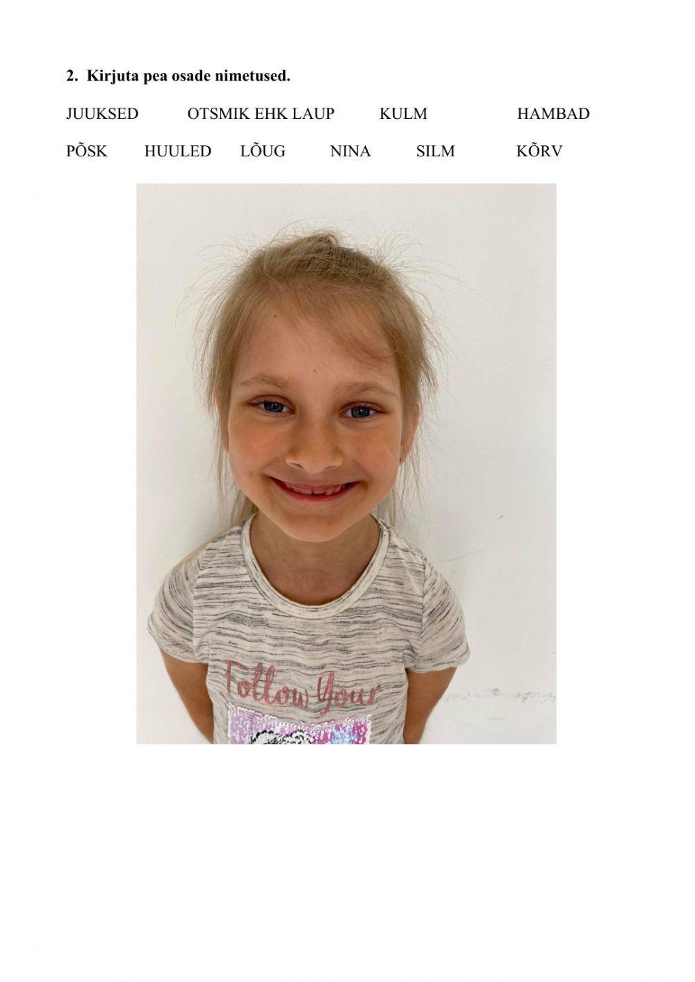 Inimese välisehitus