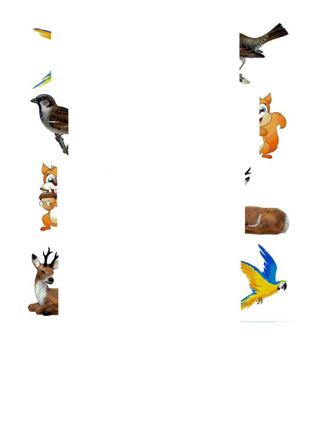 Unisci le meta' del disegno