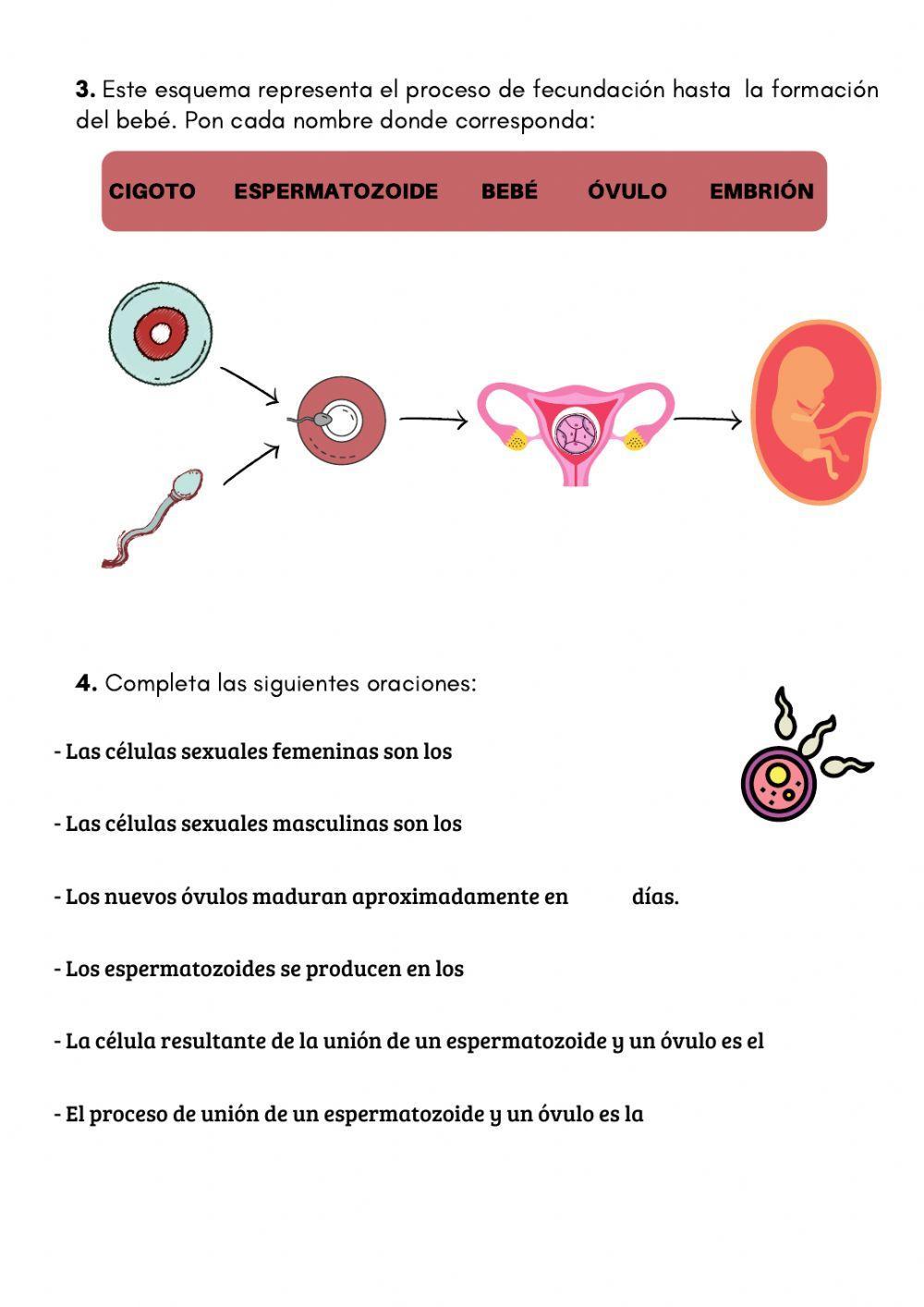 Examen naturale… | Free Interactive Worksheets | 203120, image size:1000x1414