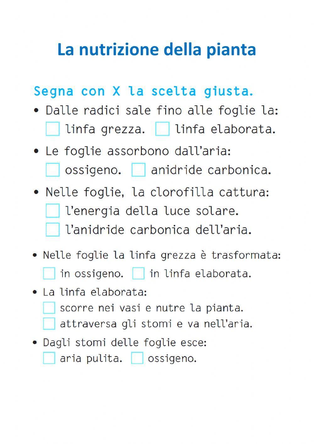La nutrizione delle piante